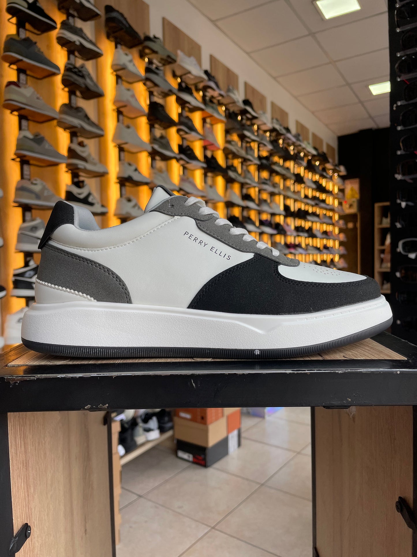 SNEAKER HP010 GRIS