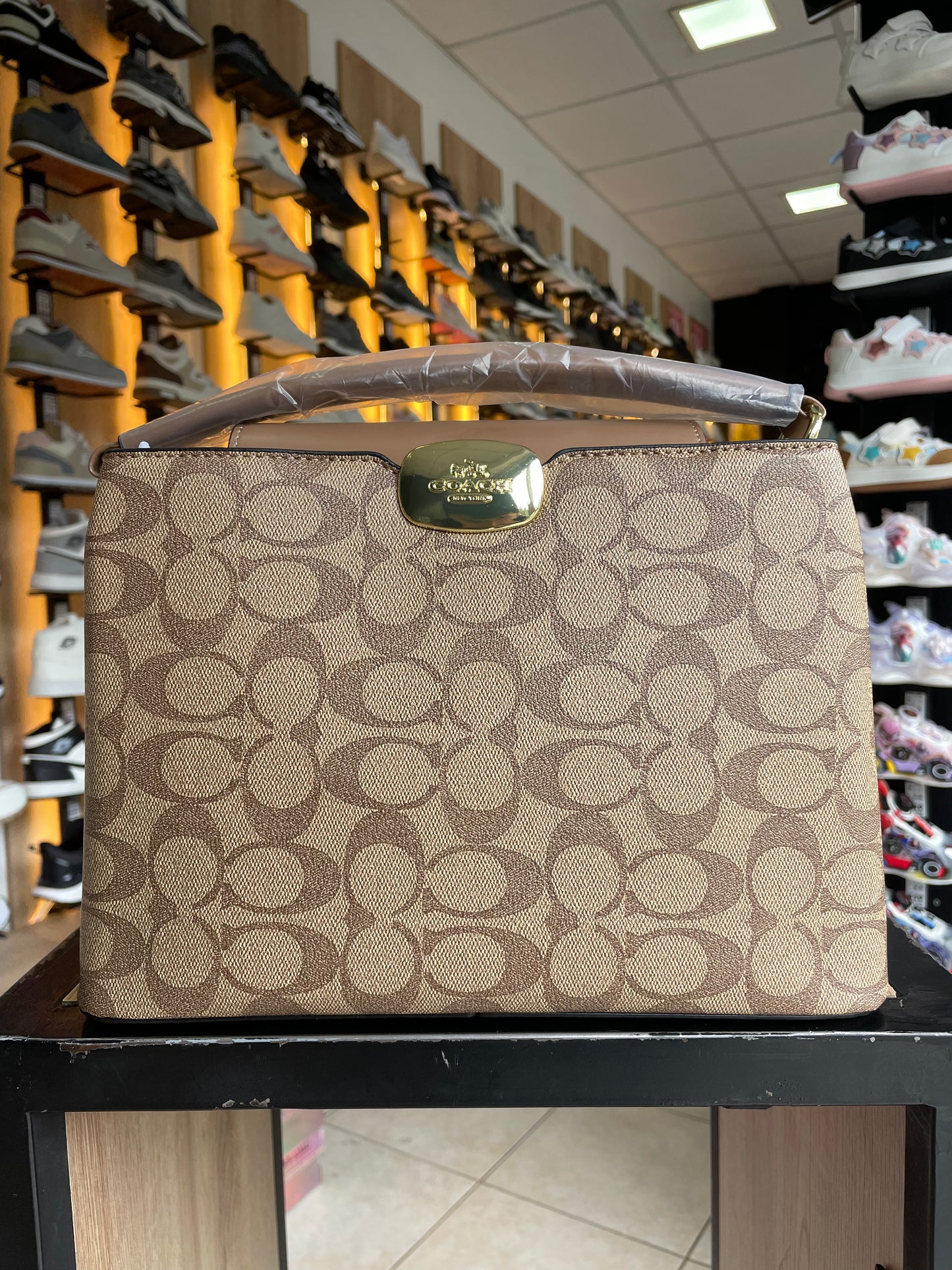 CARTERA OF CAMEL