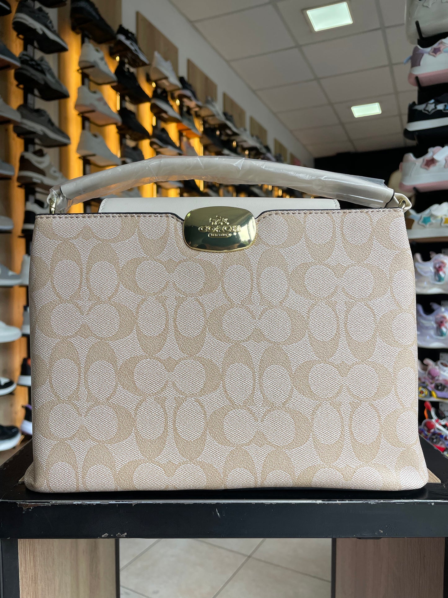 CARTERA OF BEIGE