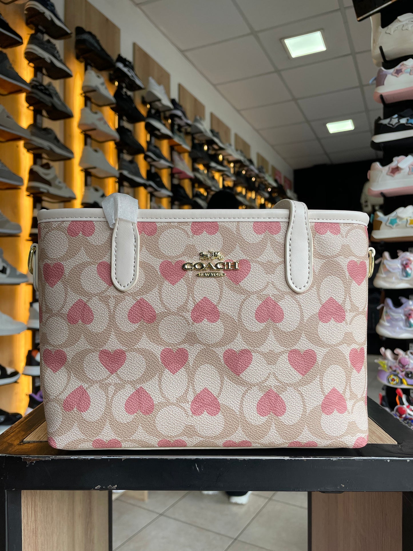 CARTERA CZ BEIGE